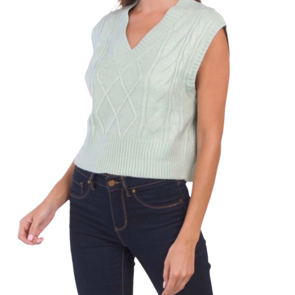 Sincerely Jules V-Neck Cable Knit Crop Vest (NWT) (Size: Large)